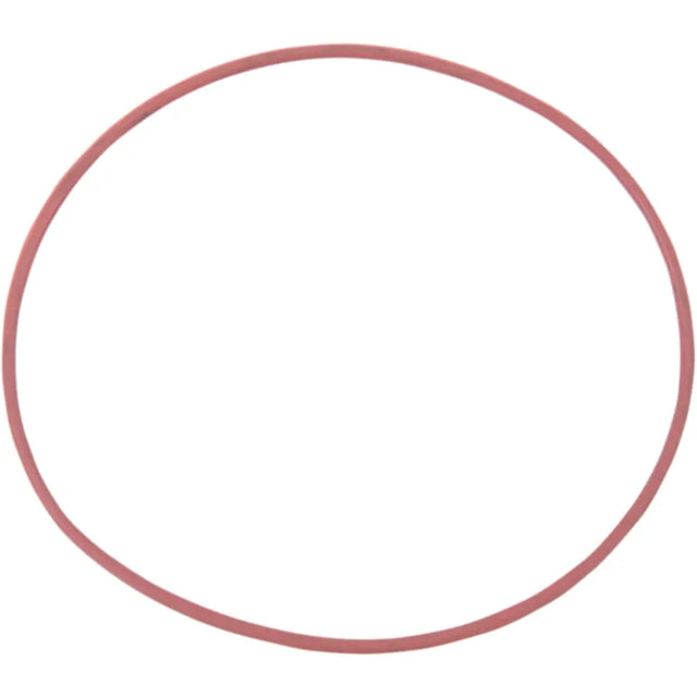 O-RING - Leks Motor as