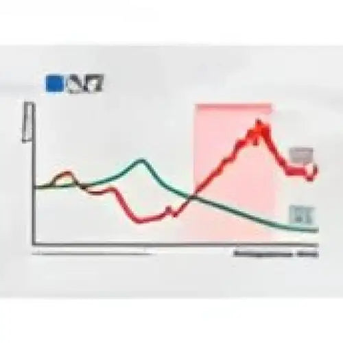 Quad Lock Motorcycle Vibration Dampener - Leks Motor as