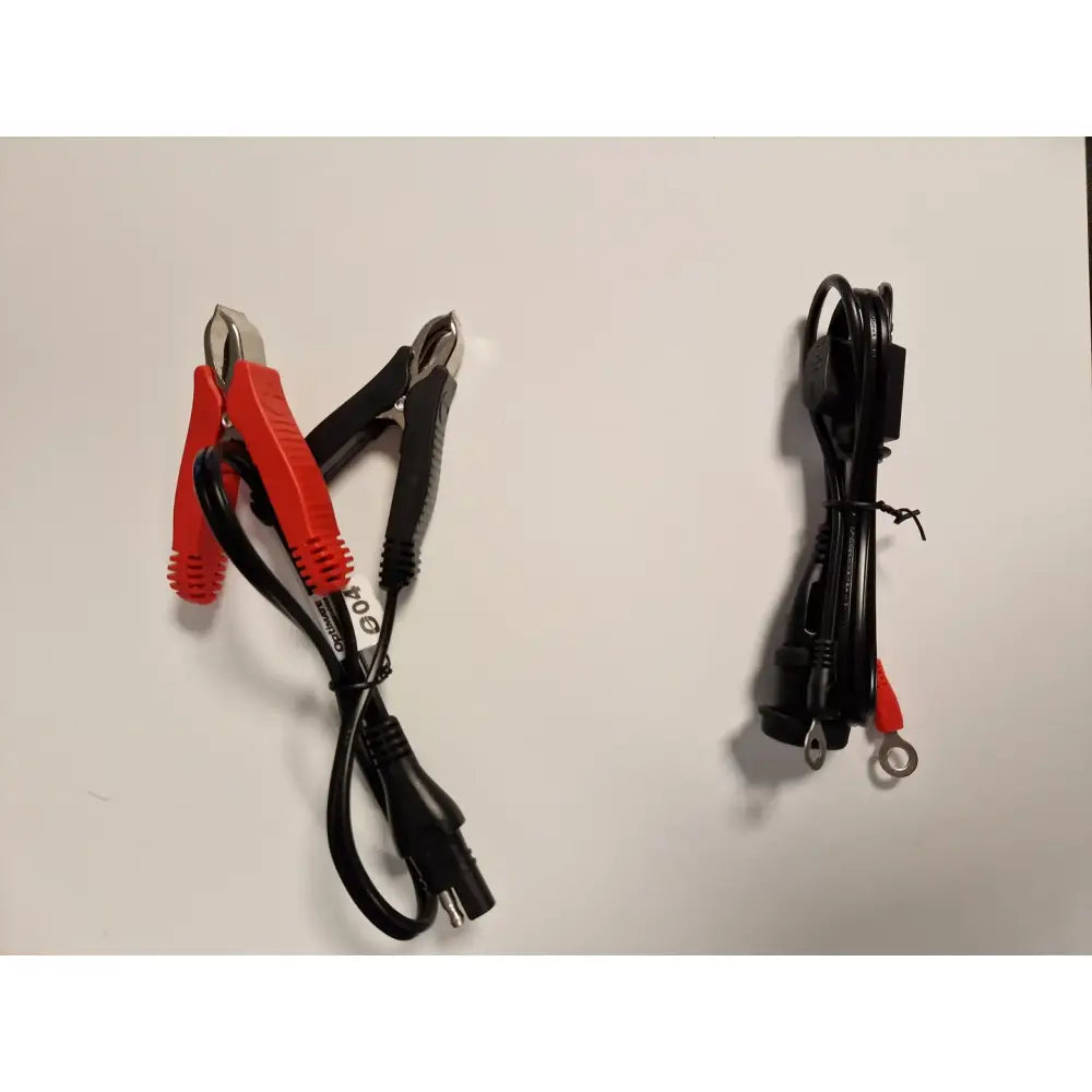 Triumph batterioptimalisator – EU - Leks Motor as