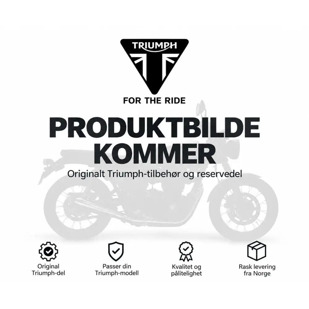 Silhuett av triumph scrolling led indikators sett bak på trident 800 i gråtoner mot hvit bakgrunn