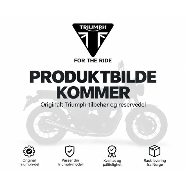 Silhuett av triumph motorcycle med carnival red triumph seat cowl kit bakside i gråtoner mot hvit bakgrunn