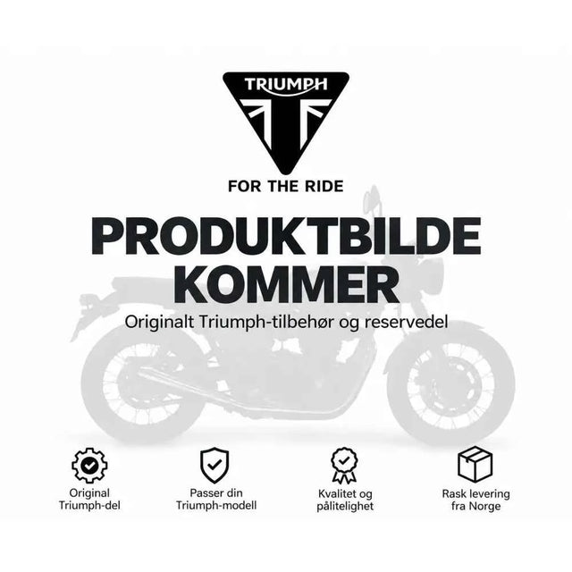 Triumph semi-stiv toppboks 30 L – Speed 400 / Scrambler 400 X